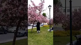 #Хитровская_площадь_Снимки_селфи#май #shorts #video #news #viral #live #games