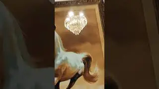 creative video #funny #fun #youtubeshorts #peace #masti #trending #love#race#horce #