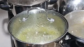 Life & Family Vlog is live! Monggo with vegetables!