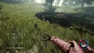 Hunting Racoon in The Forest