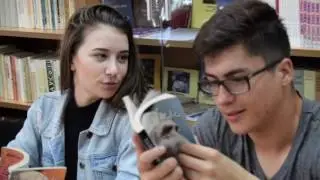 Film prezentare Liceul pedagogic ”Spiru Haret” Focșani