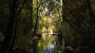 Peace that nature gives us 😊| Calm River  #nature #relaxing  #water