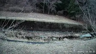 岩手県下閉伊郡岩泉町小本字小成ライブカメラ Iwate Shimoheigun Iwaizumicho Live Camera.world.cam