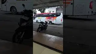 Bus EKA masuk Purbalingga jam 6:30 WIB #basuri #busmania #EKABUS #purbalingga #jawatengah