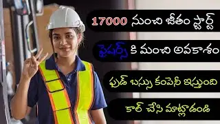 freshers Jobs openings ||  degree based job updates in Telugu || free jobs telugu