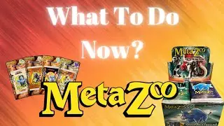 What Should The Metazoo Community Do Now?