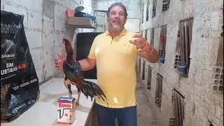 Alimentação após apresentação 