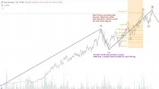 How I use Elliott Waves to Call for Peak in SE (Sea Limited)