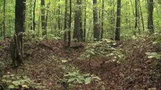 North Anna Battlefield, 1864 Overland Campaign;  Doswell, Virginia
