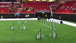 Olli & Nhi, Individual Agility Small, AWC 2019 (White Dog)