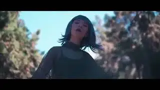 Netd Müzik Video Dijital Platform Ve Ticaret A.Ş, Believe Music, [Merlin] Ultra Music, Cat Music