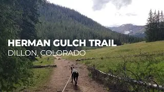 Herman Gulch Trail, Dillon, CO