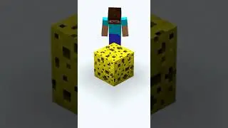 Minecraft Sponge FACTS