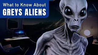Okeechobee UFO: Alien Insights & Footage! 👽🛸 #ETEncounters