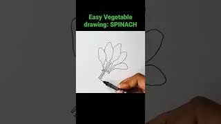 Easy Vegetable drawing: SPINACH