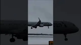 Wingtip Vortices