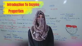 Introduction Of Enzyme| Properties of Enzyme |MDCAT Series