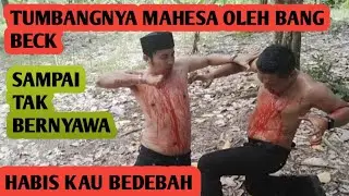 🔴 BANG BECK TERBARU|| HABISNYA MAHESA SAMPAI TAK BERNYAWA 
