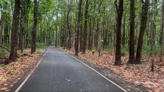 Relaxing road view in the Himalayan capital city of Dehradun amidst the lush green forests