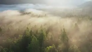 Relaxing Ancestral Music for Sleep | Ancient Sounds for Deep Rest & Inner Peace