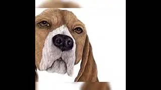 Beagle a Digital Painting by Kathy Grillo Design