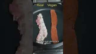 Vegan bacon vs Real pig bacon cook test. Who will win?