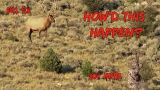 Cant Believe this Just Happened on Sr's Bull Elk Hunt!!