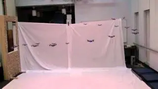 A Swarm of Nano Quadrotors-Crazy must watch