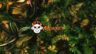 MIXTUREZ - XTC (MELODIC RAW) [MONKEY TEMPO]