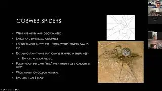 Spiders of Kentucky Online Class