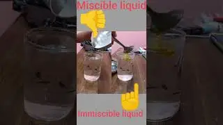 #miscible and #immiscible #liquid #experiment