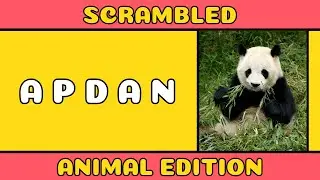 Can You Unscramble These Animal Names? | Scrambled