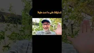 18 أيلول، 2025 ماذا يصنع الدماغ عندما تنام؟
