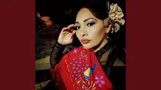 Palomita