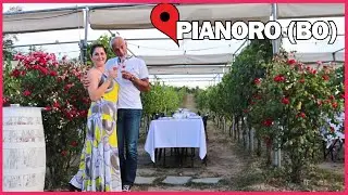 La CENA IN VIGNA a un prezzo bazza