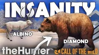 2 DIAMONDS & 3 RARES in ONE EPIC GUIDED HUNT!!! - Call of the Wild