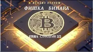 BINARY SYSTEM   Как заработать много денег на крипте
