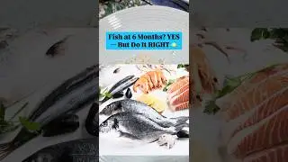How to introduce fish at 6 month #babynutrition #babyfood #fish