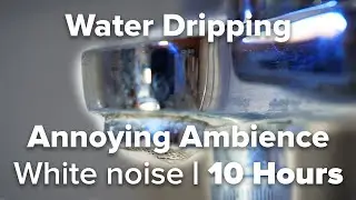 Experience the Irritating Sound of Water Dripping for 10 Hours in 4K