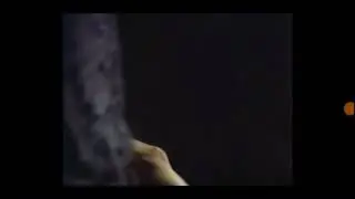 Woman breaks man’s neck with her legs ( Headscissors kill)