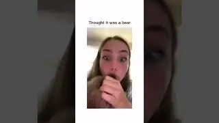 Bear Dog 🐻 🐶 #animaltok