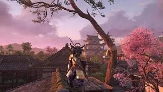 How to Get Protector&rsquo;s Armor for Yasuke &ndash; Nijo Palace Samurai Fight | Assassin&rsquo;s Creed Shadows