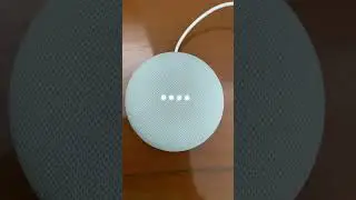Google Nest Mini alarm sound