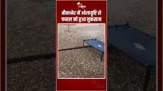 Rajasthan Weather Update: Bikaner में ओलावृष्टि से फसल को हुआ नुकसान | Winter Season | Hailstorm