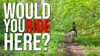 HAPPY HACKER GUIDE || Riding in the Welsh woodlands || EP1