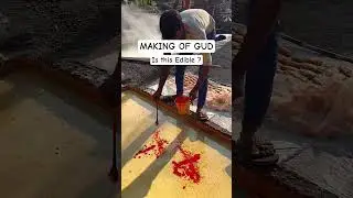 #review #streetfood #food #shocking #shockingfood #insidefactory #factory #jaggerymakingprocess