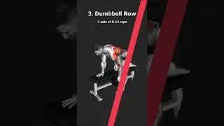 Episode - 4 Bro Split Workout 4/5 Back #shorts #backworkout #4brother343
