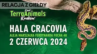 Giełda Terra Animals w Krakowie (02.06.2024) - hala Cracovia