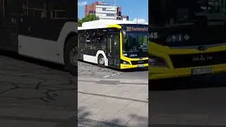 Buskurzvideo #10 | MAN New Lions City 12G | Wg. 245 | 309 Eschenplatz | 23.06.2023 | #shorts #bus