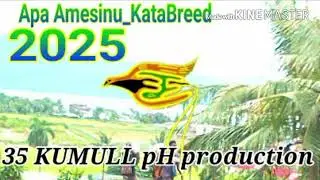 Apa Amesinu_Katabreed_-_2025 [35 KUMULL ph prodz]